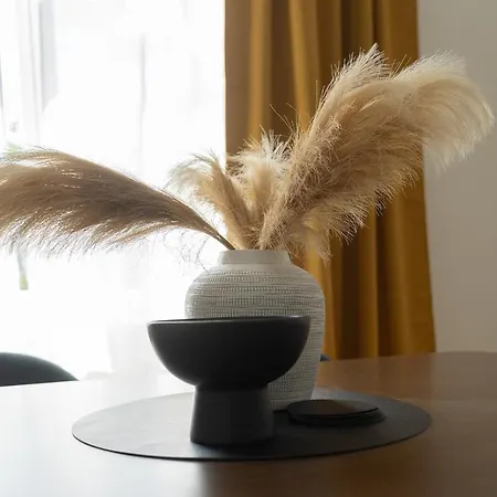 Schloss - An Der Uni - Klinik Dresda